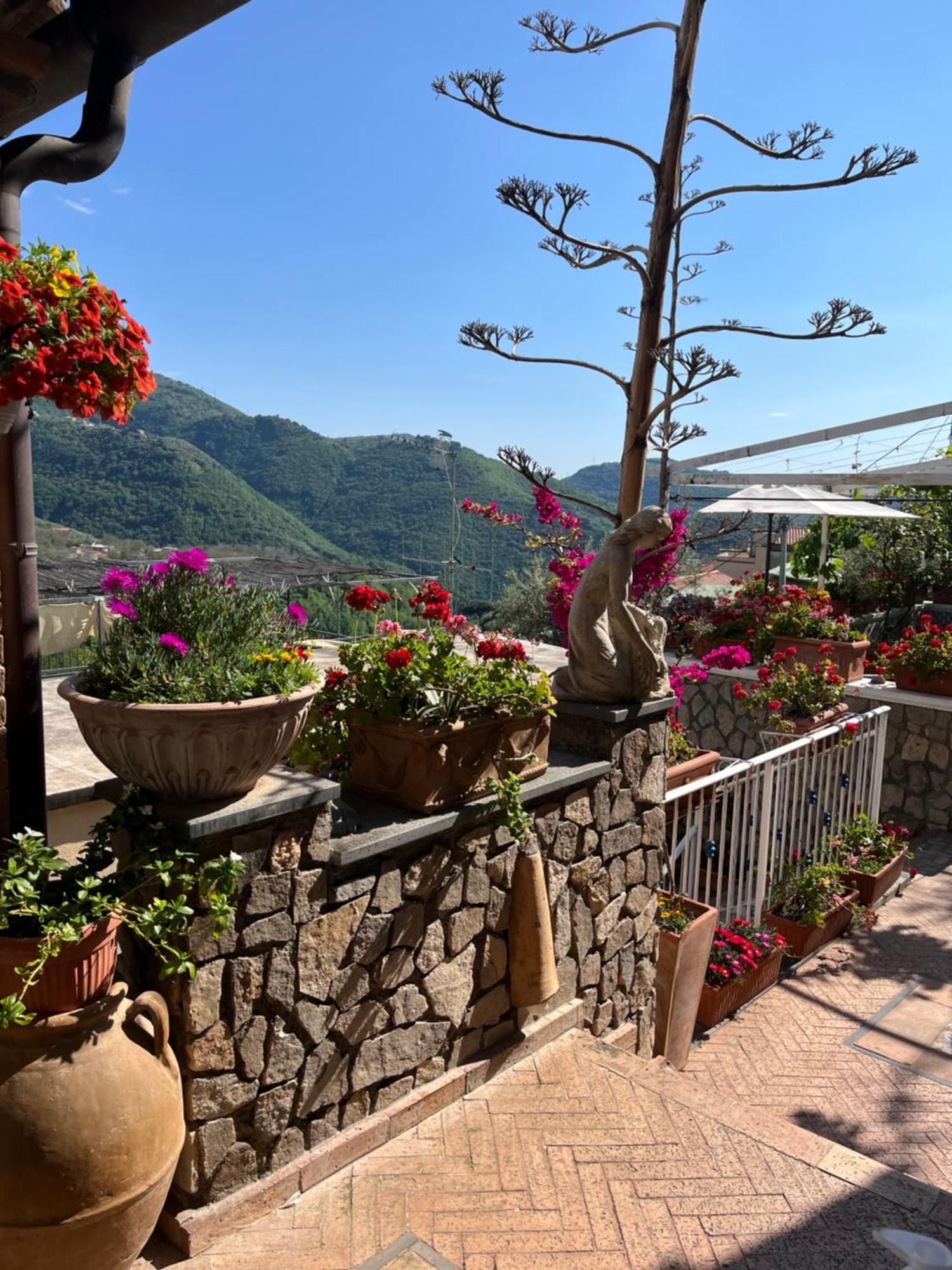Hill Valley View Vico Equense Εξωτερικό φωτογραφία